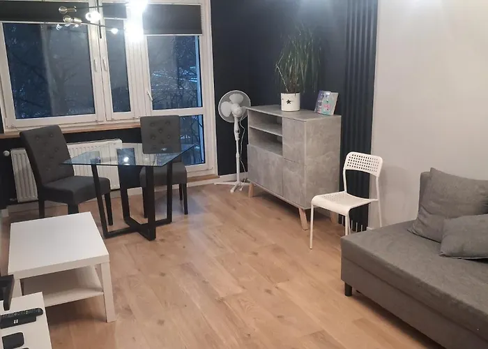 Przyjazny Kat * Poznan